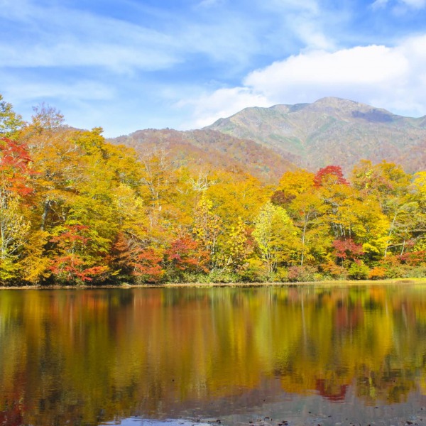 刈込池の紅葉と三ノ峰