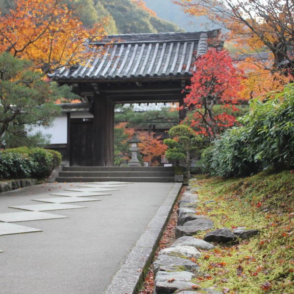 南禅寺高徳庵参道